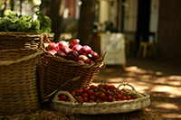 Our monthly basket, curated with care